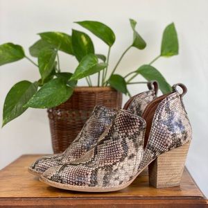 Jeffrey Campbell snakeskin ankle boots